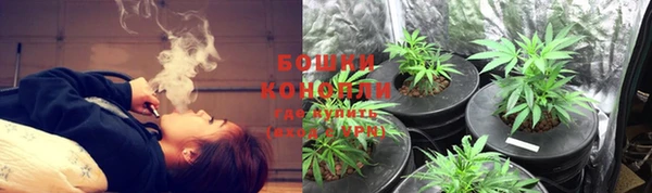 каннабис Сясьстрой