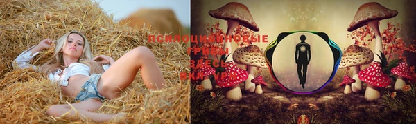 каннабис Тайга
