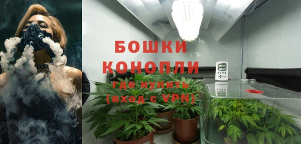 каннабис Тайга