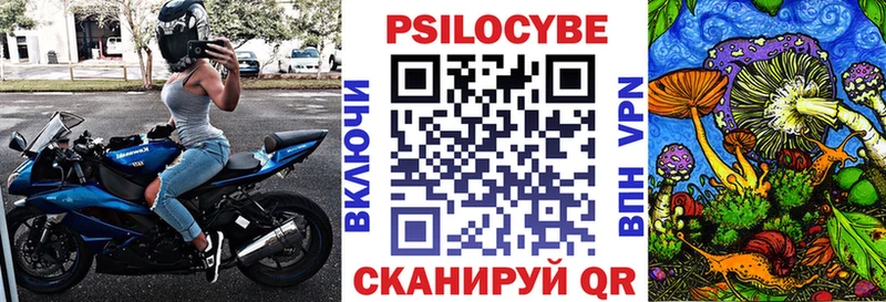 Псилоцибиновые грибы Psilocybine cubensis Купить закладки Апшеронск